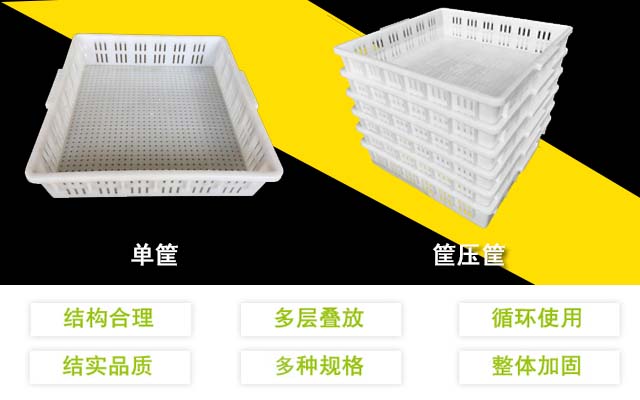朝陽(yáng)裝豆腐的塑料筐