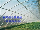 安陽綠之源專業(yè)建設溫室工程