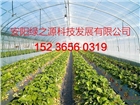 安陽綠之源蔬菜大棚建設安裝