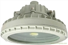 BAX82D系列固態(tài)免維護(hù)防爆防腐燈LED20W30W50W