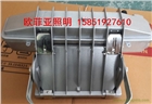 NTC9251/NP投光燈250W 400W廠家批發 防水防
