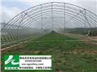 大棚建設   有立柱蔬菜大棚   壽光市萬禾農(nóng)業(yè)