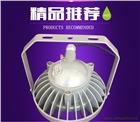 LED防爆燈 H型BAD808防爆燈 低碳節能LED防爆燈