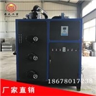 蒸汽發生器 生物質鍋爐 全自動免檢 節能蒸汽發生器