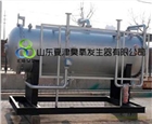 德州-聊城廢氣脫硝用臭氧發生器