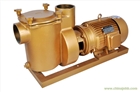 泳池桑拿BP150系列各種型號工廠批發
