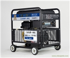 大澤300A便攜式發(fā)電電焊兩用機(jī)