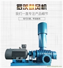 三葉羅茨風機廠家直銷濟南利業機械污水處理曝氣機回轉風機