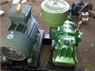 山東綠洲機械 專業生產羅茨風機 章丘羅茨風機 LZSR
