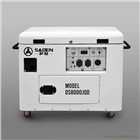 薩登8000瓦應急發電機制作精良